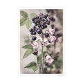 Belladonna Nightshade Botanical Etching 8x12 Vertical Front Mockup